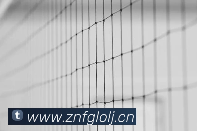 星空入口网址发展历程